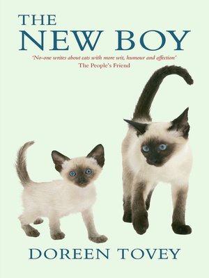cover image of The New Boy